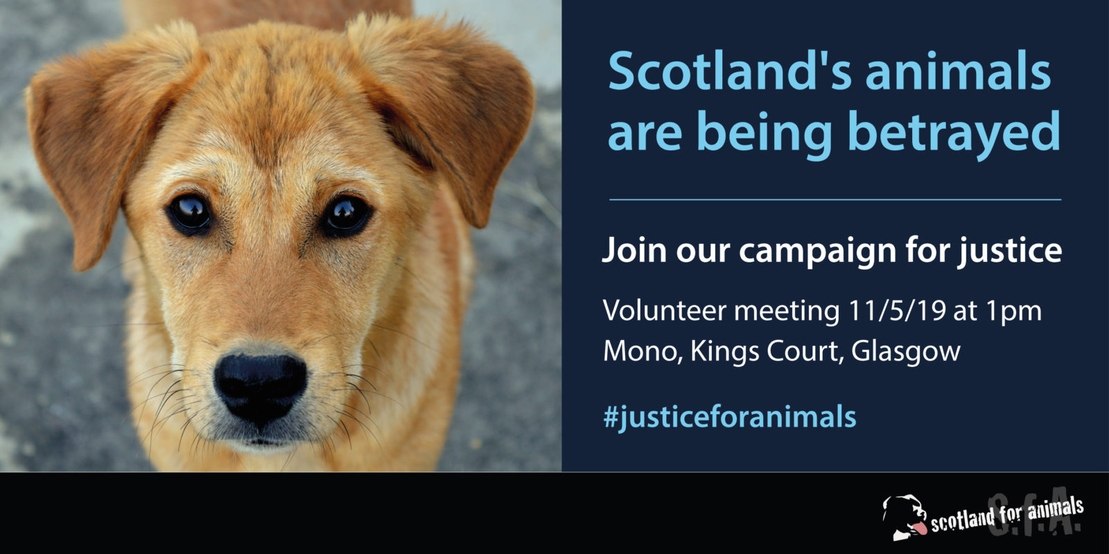 Join The Fightback 11519 Scotland For Animals